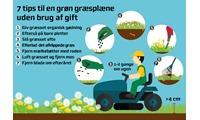 7 tips til grøn græsplæne
